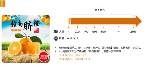 預售拼購模式在農產品電商的實踐與價值 以贛南臍橙為例的軟件系統(tǒng)推演剖析